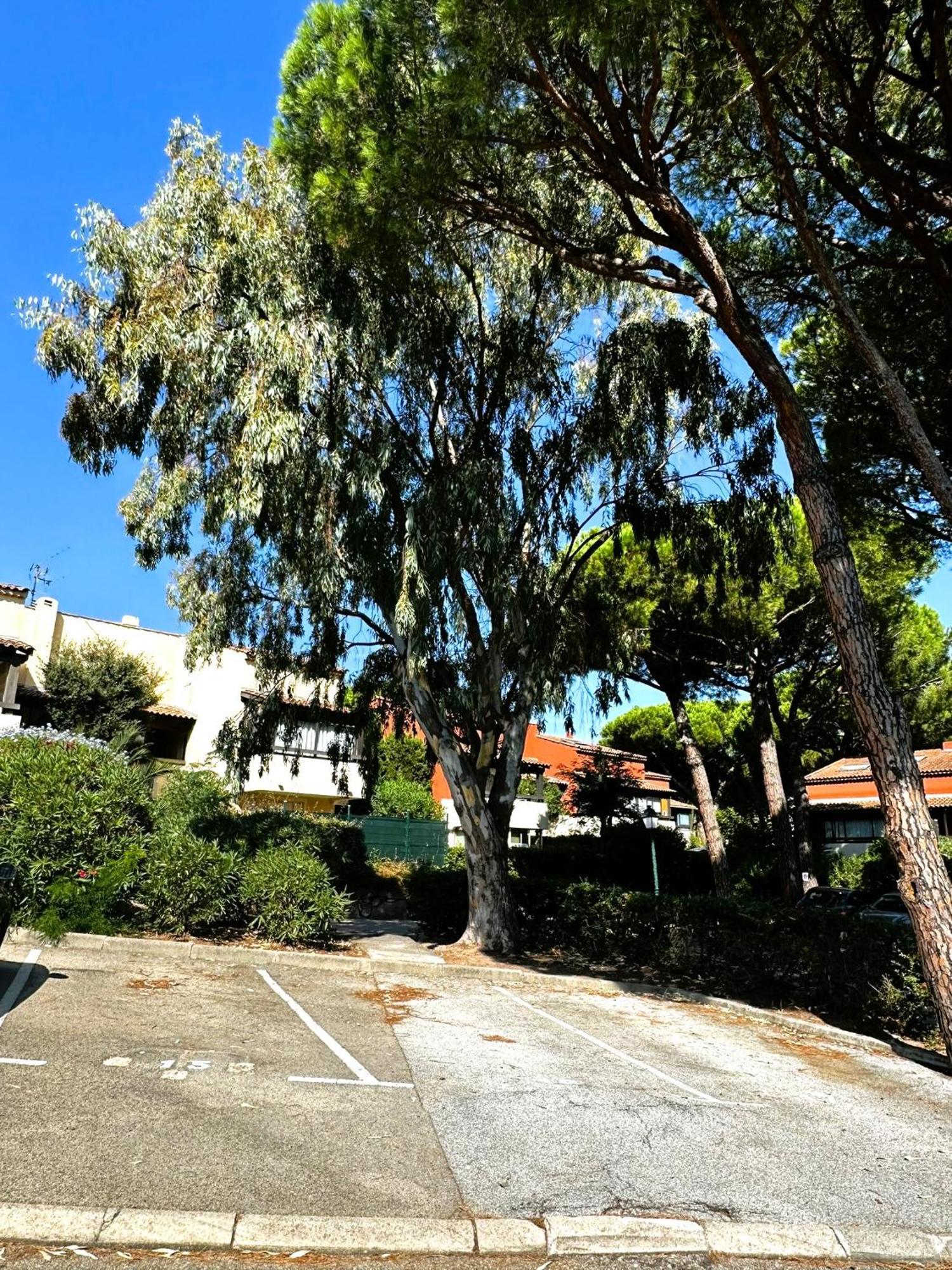 - 4 Personnes - Piscine Apartment Fréjus